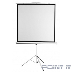 Digis Kontur-D [DSKD-1106] Экран на штативе, формат 1:1, 112", 206x209, рабочая поверхность 200x200, MW