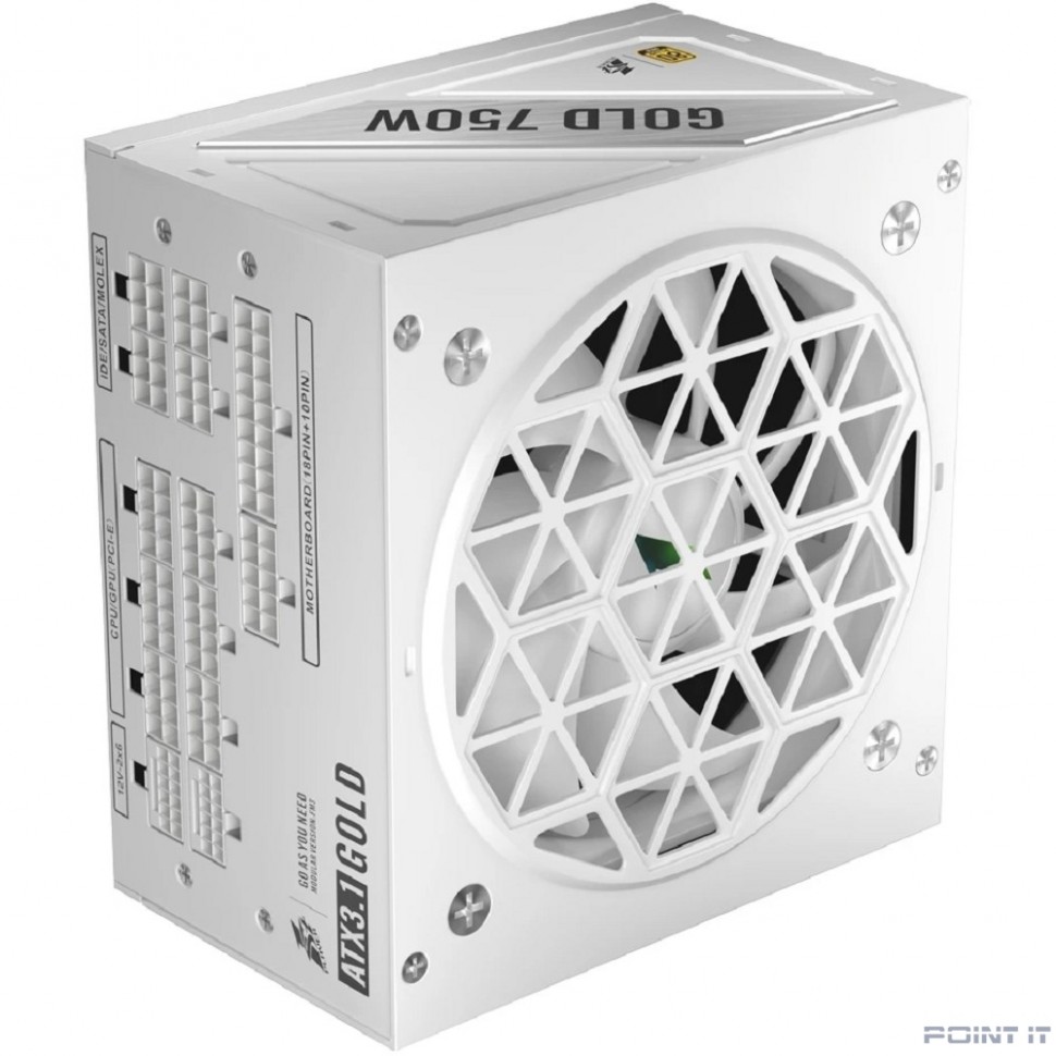 1STPLAYER NGDP GOLD 750W White / ATX 3.1, APFC, 80 PLUS Gold, LLC+DC-DC, full Japan solid-state caps, 120mm fan, full modular / HA-750BA4-WH